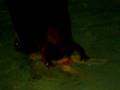 videos de yohannG-laguna-9mos 2