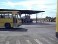 TCGL 3170 / 3175 / 3173 ( vendidos )