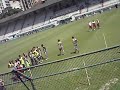laranjeiras 027.avi
