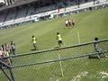 laranjeiras 027.avi