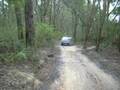 toolangi in a jackaroo