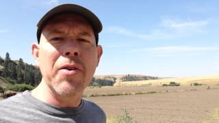 Family Farming and Faith (video blog)