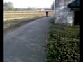videos de bete a la vertical