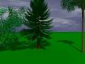 videos de Arbres virtuels