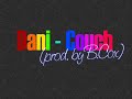 Dani - Couch (prod. by B.Cox) (2007)