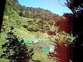 October morning in the bush at Waiotemarama Falls Lodge