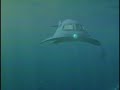 seaview submarine cgi seaview submarine cgi