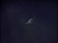 seaview submarine cgi