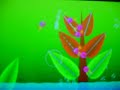 Electroplankton (Hanenbow)