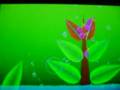 Electroplankton (Hanenbow)
