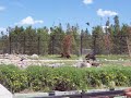 Bear Water Fight