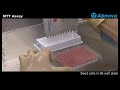 MTT Assay