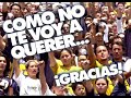 pumas