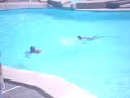 happy sliding  imelda paradise catmon