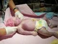 In memory of LAYLA WHITELAW