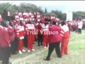 videos de Zim's Noughties (I Do It For You)