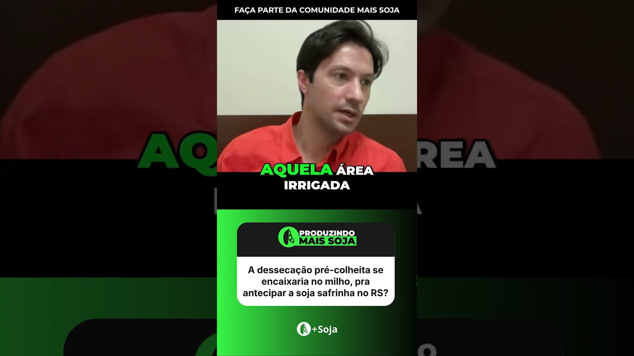 Dessecação Pré Colheita em Milho, funciona? #agro #milho #maissoja