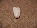 Mouse Quest