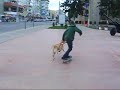 Intr'un oras plin de cocalari incercam si noi sa ne distram cum putem...sper sa va placa...ENJOY. Au participat la acest film: Galatzanu , mihut, igor figor, cosmin prostalanu , inegalabilul omar, nikita bozgor,liviu,sebi, razvan italia,Ervin,Stefan Frake/ Cameraman:one an the only SPANISH...are si cateva trikuri