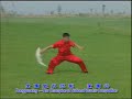 Fifth Dan Wushu Broadsword form