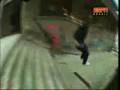 Sessão - Skate Paradise