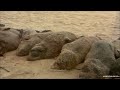 Point Of No Return