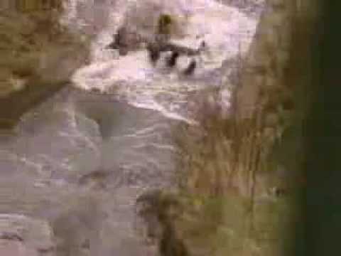 Safety Rope Fail