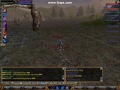 Fluppy Pk 2
