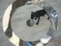 videos de Lady Ikar