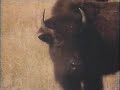 Search Video