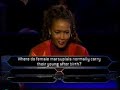 vivica a. fox on celeb millionaire