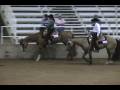 Zips Dun Version Sr. WPL.wmv