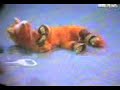 la mascota de ruperto