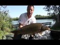 View Video
