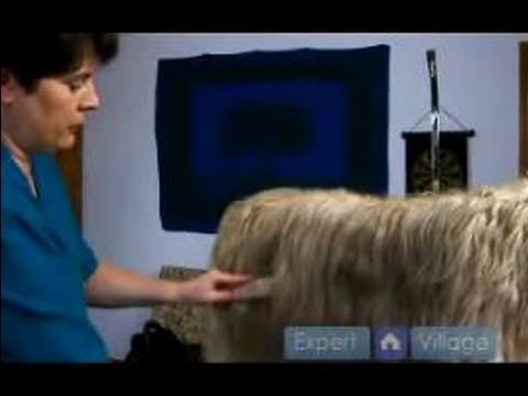 Long Haired Dog Grooming Instructions : Dog Grooming Brushing Tips