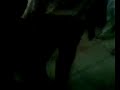 sorinel-pustiu-noul-