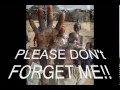 Save Dafur