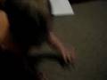 Edy finds some paper...