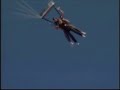 Skydiving Granny's Leap Of Faith