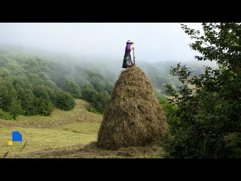 ნათელა გრიგალაშვილი