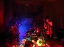 Sork live