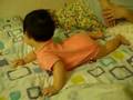 videos de 陳小妹抓兔子