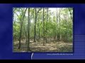 Flat River Road Farmington Missouri