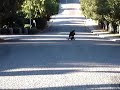 Matt skates downhill
