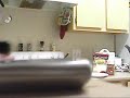 dinner bolus