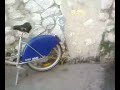 gresytgr