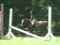 Aries B course