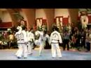 2007 North Korean TKD Demo - Breaking (2)