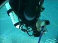 videos de Schnuppertauchen im Pool Düsseldorf