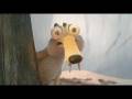 Ice Age 3: Dawn of the dinosaurs (teaser)- Jégkorszak 3: - A dínók hajnala